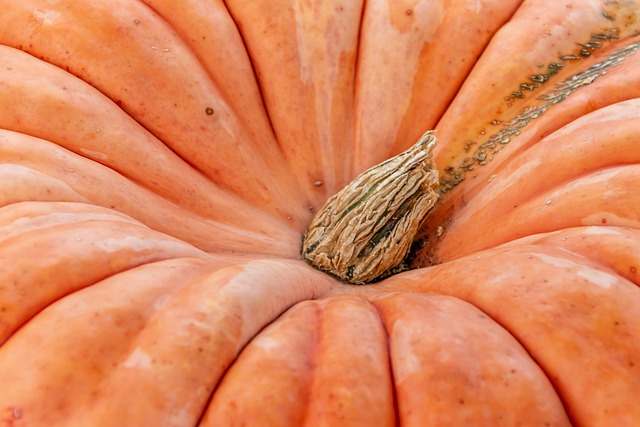 close-up of organic juice bottle label with clear ingredients list